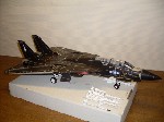 k-F-14 Tomcat (18).JPG

245,61 KB 
640 x 480 
18.03.2009
